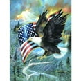 thumbnail image 2 of SUNSOUT INC - American Eagle - 500 pc Jigsaw Puzzle by Artist: Ruane Manning - Finished Size 18" x 24" Fourth of July - MPN# CL59012, 2 of 5