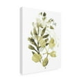 thumbnail image 2 of Trademark Fine Art 'Lichen And Leaves II' Canvas Art by June Erica Vess, 2 of 4