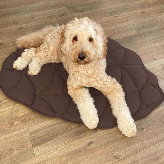 Baohd Durable Dog Bed With Complete Thread Collection Machine Washable Pet Blanket pink 120*110 cm