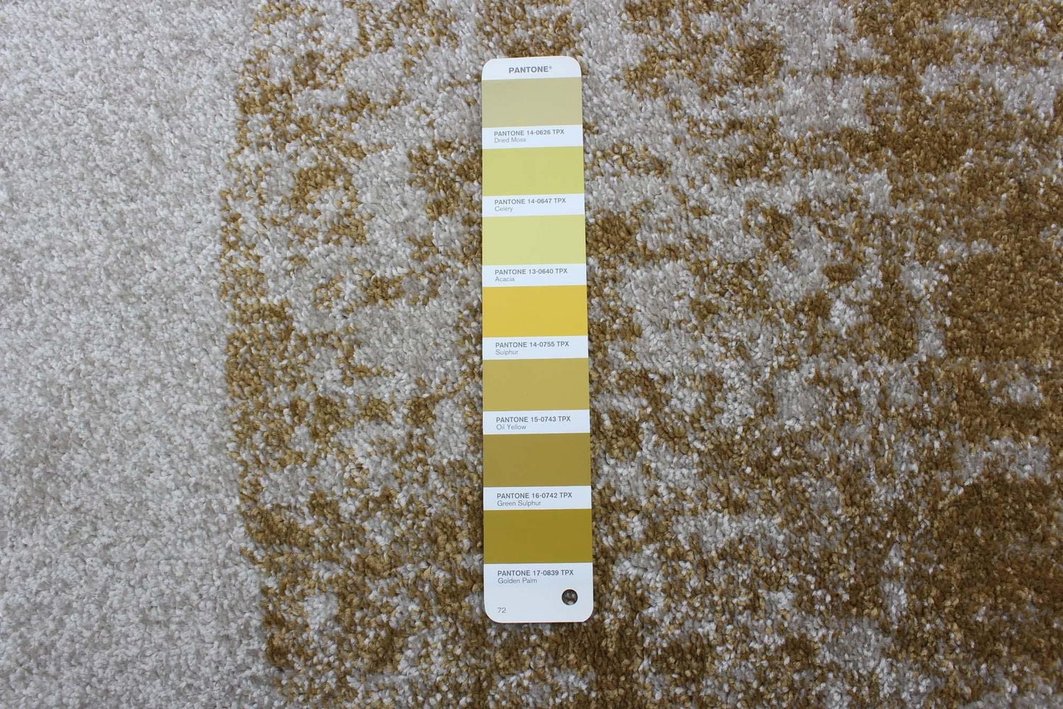 Tapis ECARPET pour Salon, Salle à Manger et Chambre Collection Bellagio