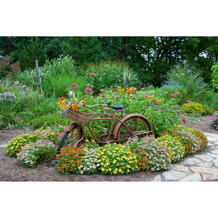 Old bicycle with flower basket in a garden with stone path Zinnias obelisk and Trellis Marion County Illinois USA Canvas Art - Panoramic Images (24 x