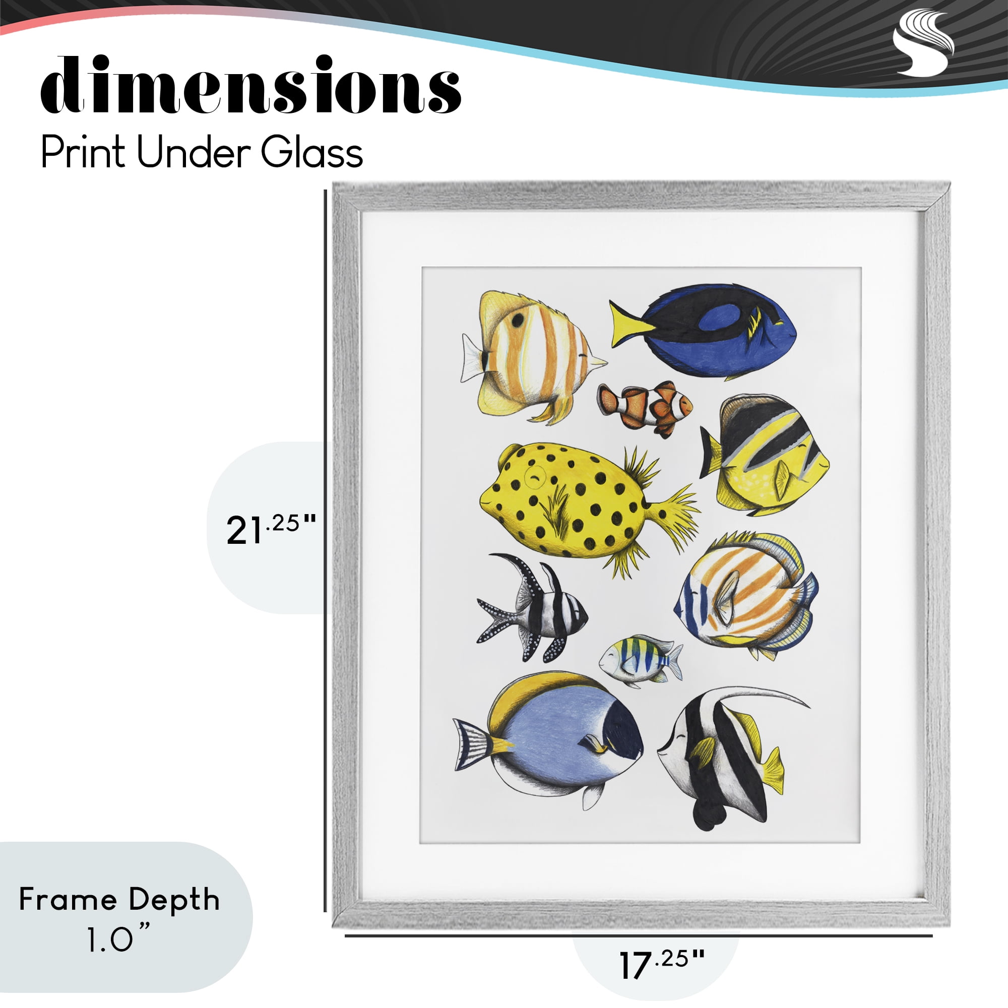 Stupell Industries Aquatic Fishes Collection Gray Framed Print Under Glass, design by Cecilia Battaini