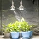 thumbnail image 4 of 2X E27 Lámpara para Plantas Bombilla 35W LED Luz de Cultivo de Planta Espectro Completo Luz Cálida, 4 of 5