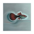 thumbnail image 4 of "Guppy in Minimalism" - Canvas, 4 of 25