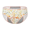 Teen Girls Protective Panties Leak Proof Underwear Heavy Flow Women Postpartum Briefs Panties