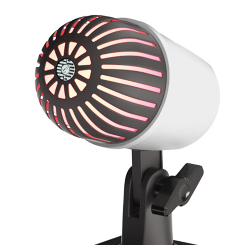 Microphone with Tripod Stand for Birthday Recording and Streaming Conference