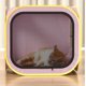 thumbnail image 5 of Caja de secado para mascotas, gatos, perros, baño, secador de pelo, secador de tela, cajas de secado, 5 of 6