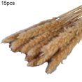 thumbnail image 2 of 15Pcs/Bundle Small Pampas Grass Ornamental Desktop Decor Dried Flower Birthday Party Artificial Reed Bouquet for Garden, 2 of 8