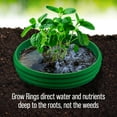 thumbnail image 4 of Planting Grow Rings, Round 7 inch, Perfect for Deep Watering Veggies Herbs and Flowers, Protection and Edging of Garden Plants, Green, Made in The USA - Pack of 4, 4 of 11