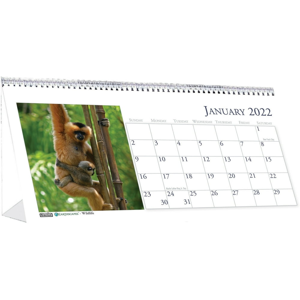 house-of-doolittle-wildlife-photo-desk-top-tent-calendars-walmart-walmart
