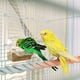 thumbnail image 5 of Uxcell 1-Set de Posaderos de Cuerda para Jaulas de Aves, 13.8 y 31.5 pulgadas de Longitud, Posadero de Cuerda Flexible con Agarre Cómodo para Aves [Rosa Púrpura], 5 of 7