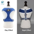 thumbnail image 3 of Deago Dog Harness Leash Set, Dog Harness No-Pull Pet Harness Adjustable Reflective Mesh Outdoor Pet Vest for Dogs Easy Control for Small Medium Dogs - Size XS, Blue, 3 of 10