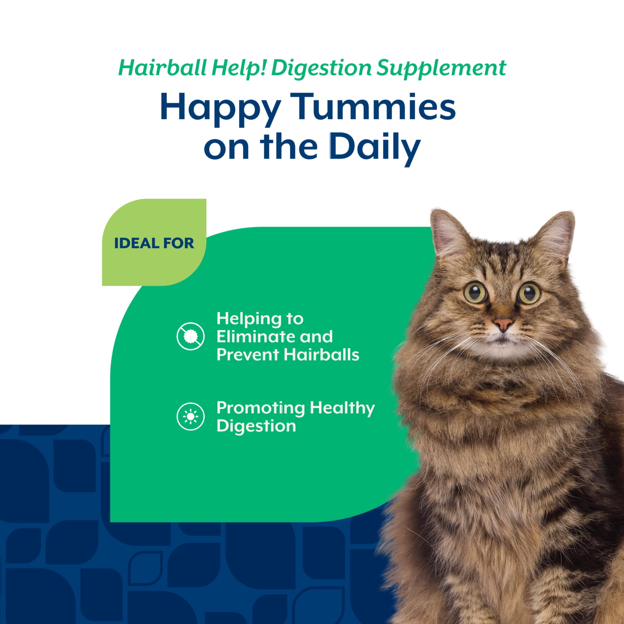 NaturVet Hairball Help! Scoopable Tiny Bite Supplements for Cats, Salmon Flavor, 5.5 oz Bag
