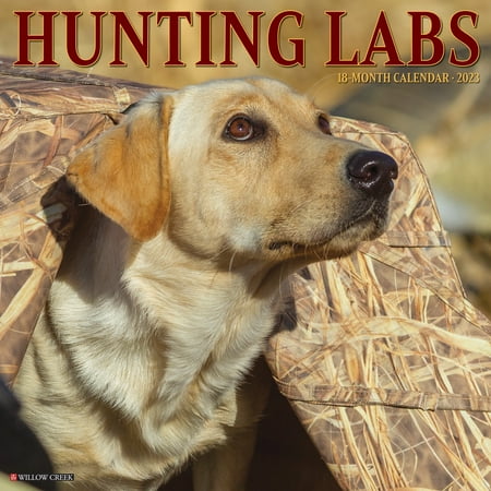 UPC: 0709786071289 | Hunting Labs 2023 Wall Calendar