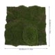 thumbnail image 2 of Alfombra de musgo artificial realista, césped falso para manualidades, decoración de jardín, accesorios para casa de muñecas en miniatura para uso en interiores y exteriores, 30 cm x 30 cm, 2 of 7