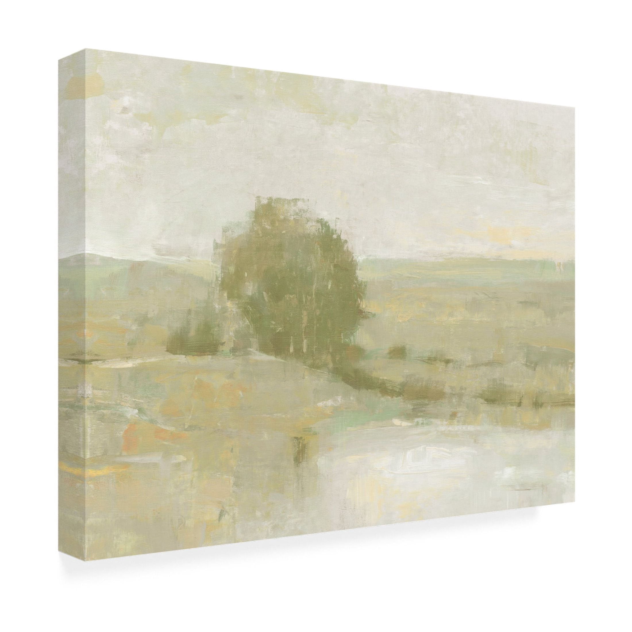 Trademark Fine Art Tim OToole Ochre Riverbank I Canvas Wall Art