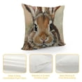 thumbnail image 4 of Rabbits Bunny Eggs Pillowcases Decorations for Sofa Decor, 4 of 5
