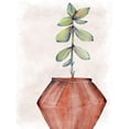 thumbnail image 3 of Allen, Kimberly 19x24 Black Modern Framed Museum Art Print Titled - Succulent Plant 2, 3 of 5