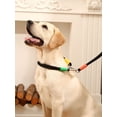 thumbnail image 6 of YeewayVeh Hands Free Dog Leash – 6FT Heavy Duty Dog Leash with Padded Handle, 360° Swivel, Adjustable Crossbody Waist Reflective Leash for Walking, Running, Training – for Medium Large Dogs (Black), 6 of 9