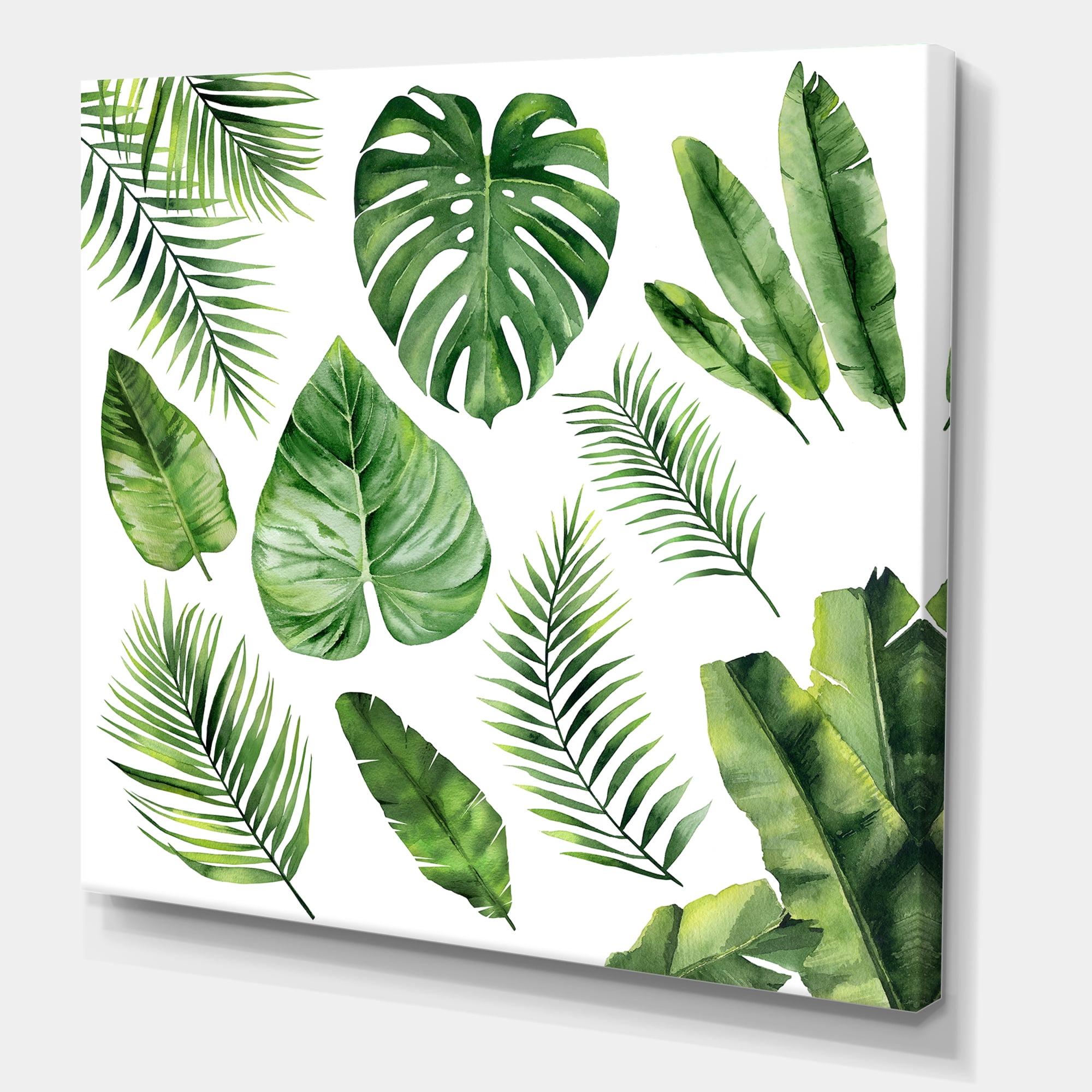 Designart ' Close Up Of Tropical Leaf Of Monstera V ' Farmhouse Canvas Wall Art Print
