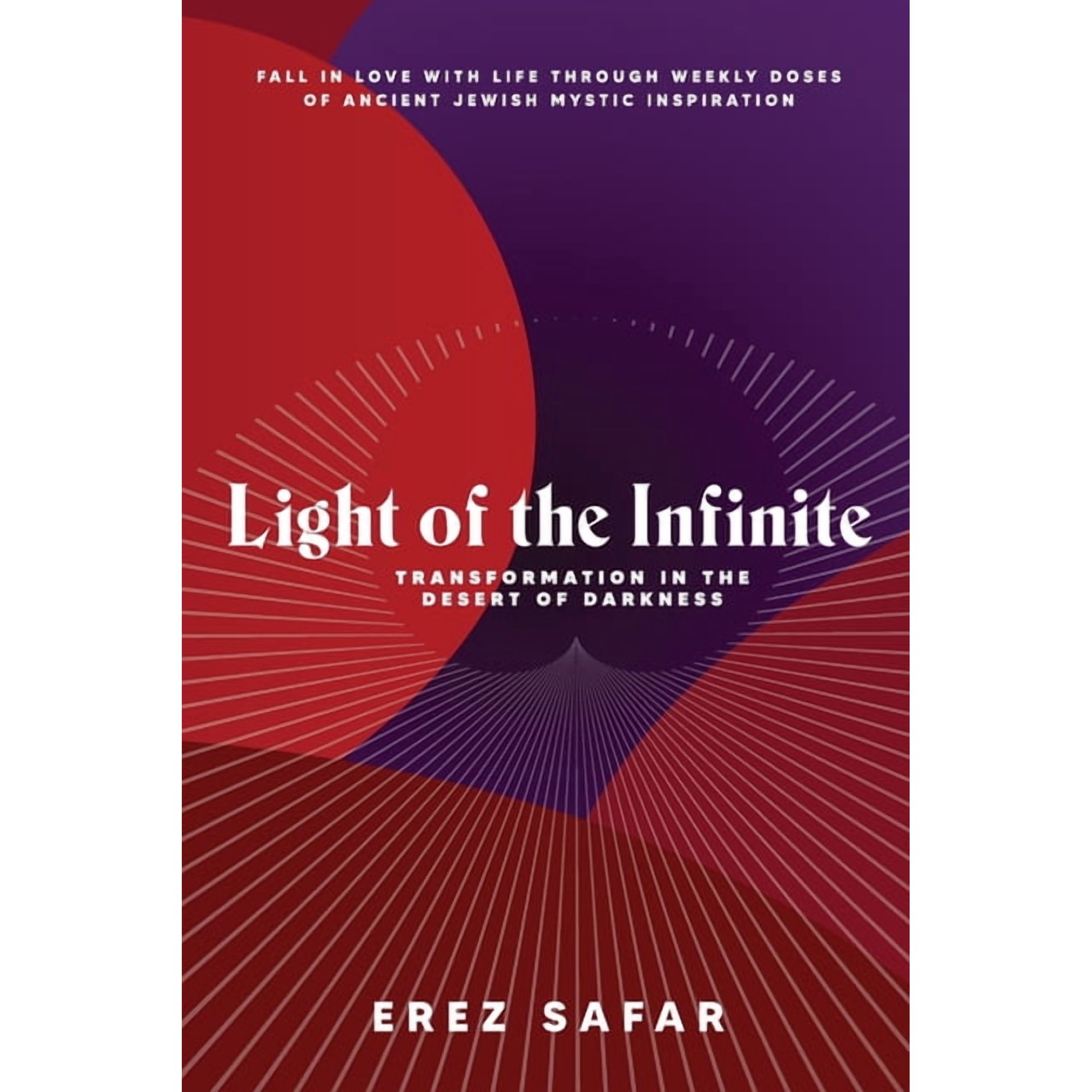 Light of the Infinite Light of the Infinite: Transformation in the Desert of Darkness Book 4 (Paperback)