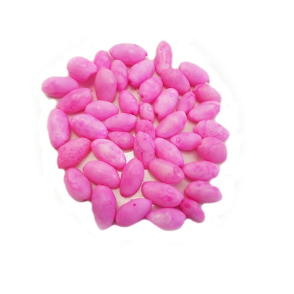 1 Lb (300) Small Pink Bubble Shells Dyed Seashells 3/4 - 1" (19-26 mm) Beach Ocean Craft Wedding Decor