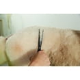 thumbnail image 3 of Shears Andis 8 Straight Zurd Professional Perro Gato, 3 of 4