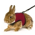 thumbnail image 2 of Manunclaims 1Pack Guinea Pig Harness and Leash - Soft Mesh Small Pet Harness, No Pull Comfort Padded Vest for Guinea Pigs, Ferret, Chinchilla and Similar Small Animals, 2 of 6