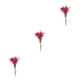 thumbnail image 1 of Arreglos de hojas y Flores secas ecológicos y sostenibles Bearachild Elegante flor en relieve seca HS-19, 1 of 6