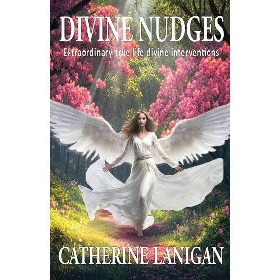Divine Nudges, (Paperback)