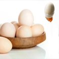 thumbnail image 5 of Silicone Egg Cup Set - Creative Kitchen Tool for Boiled Eggs with Holder and Separator, 5 of 5