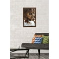 thumbnail image 2 of Annabelle - Close Up Wall Poster, 14.725" x 22.375", Framed, 2 of 3