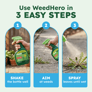 BugMD Weed Hero Plant-Powered Pet-Safe Weed & Grass Killer Spray, Ready-to-Use, 24 fl oz