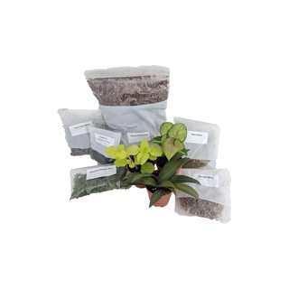 Premium Crickets Horticultural Charcoal For Planted Vivariums