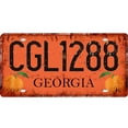 thumbnail image 1 of Placa Metal Vintage CGL1288 Pintura Hierro Rectangular Del 30x15cm, 1 of 9
