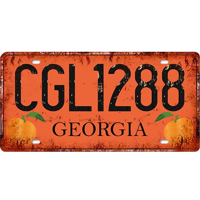 Placa Metal Vintage CGL1288 Pintura Hierro Rectangular Del 30x15cm