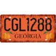 thumbnail image 1 of Placa Metal Vintage CGL1288 Pintura Hierro Rectangular Del 30x15cm, 1 of 9