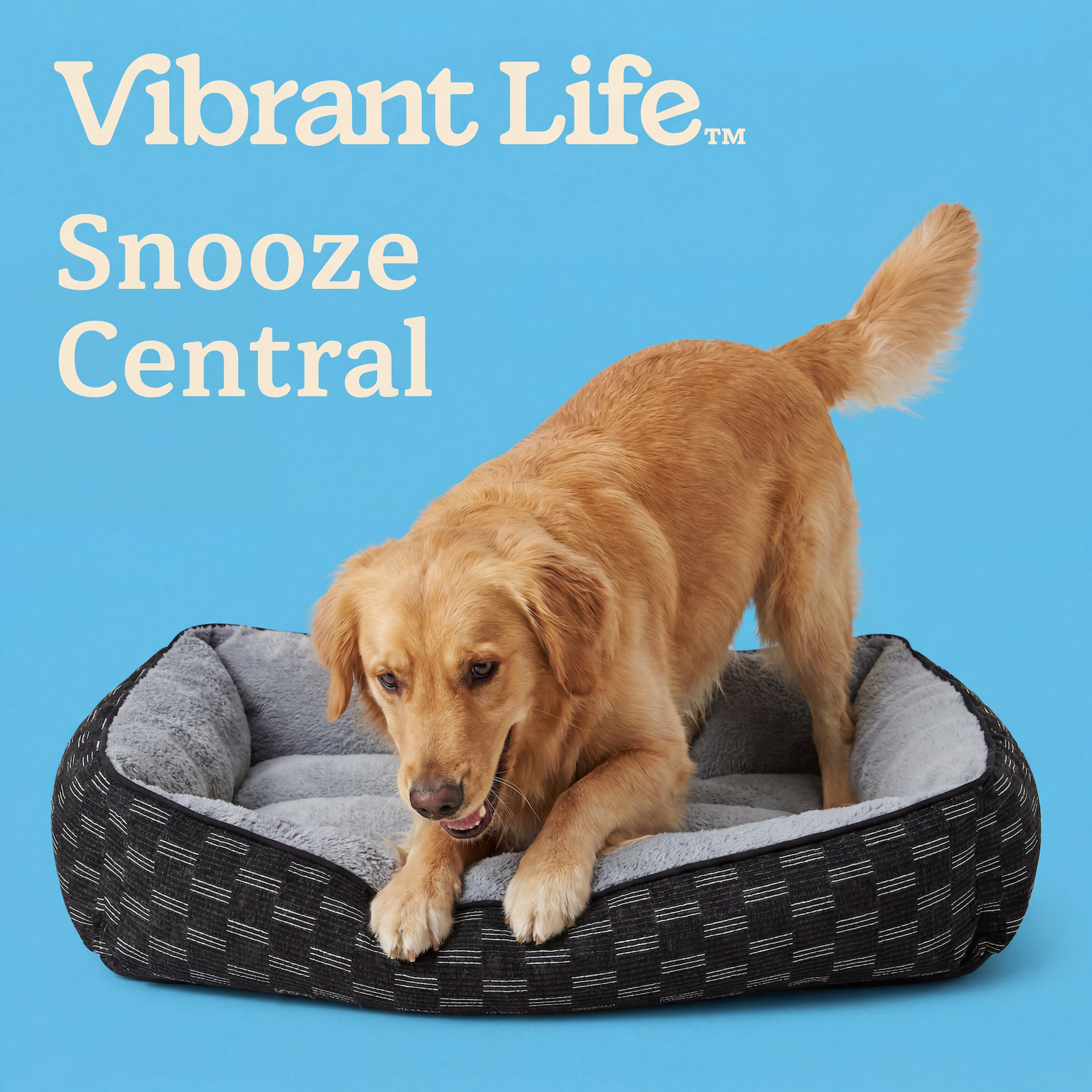 Vibrant Life Large Lounge Style Pet Bed photo 4