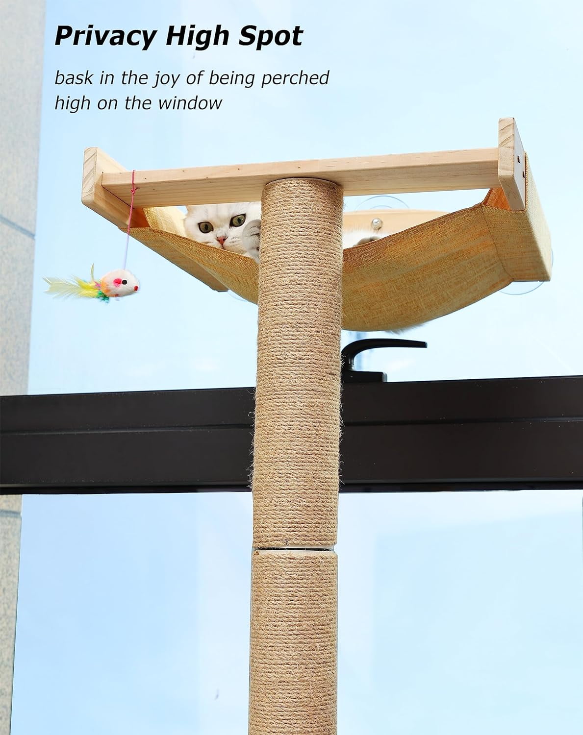 Window Perch with Tall Scratching Posts, Inside  Climbing Tree Hammock Mounted with Suction Cups for Sleeping Playing and Watching Birds