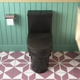 thumbnail image 3 of Liberty 12 in. Rough In 1-Piece 1.1/1.6 GPF Dual Flush Compact Round Toilet in Matte Black Seat Included, 3 of 13