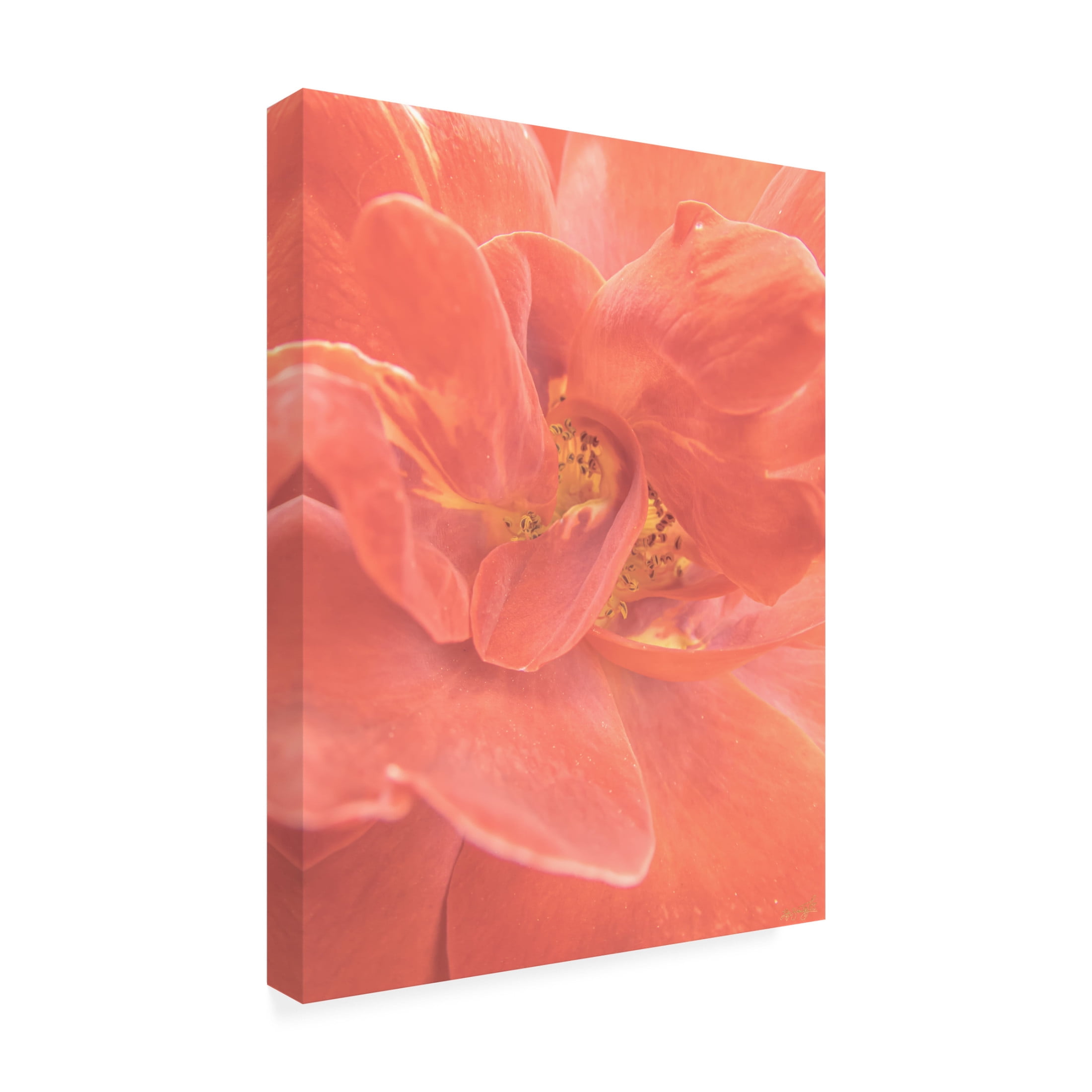 Canvas Wall Art - Life BeautifuLEE 'Soft and Wild 2' Wall Art for Living Room, Bedroom, or Office Décor by Trademark Fine Art - 24 x 32 Inches
