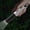 Black, variant on DELESYS White Lasers Flashlight Rechargeable Outdoor Portable LED Flashlight Mini LED Outdoor Camping Hiking Flashlight Portable Charging Lighting, 6.9*0.98*0.98IN