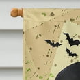 thumbnail image 3 of Carolines Treasures PJC1003CHF Bat Crazy Halloween Flag Canvas House Size  Large multicolor, 3 of 4