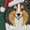 Pink, variant on Shetland Sheepdog Christmas Embroidered Shirt, Cute Sheltie Holiday Tee, Funny Xmas Dog Lover Sweatshirt, Custom Dog Mom Gift Idea