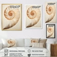 thumbnail image 4 of Designart "Curves Of Copper In Nautilus Spiral I" Nautilus Floater Framed Canvas Prints, 4 of 5