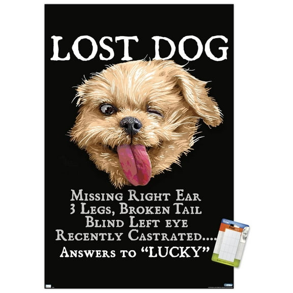 Jim Baldwin - Lost Dog Wall Poster, 14.725" x 22.375"