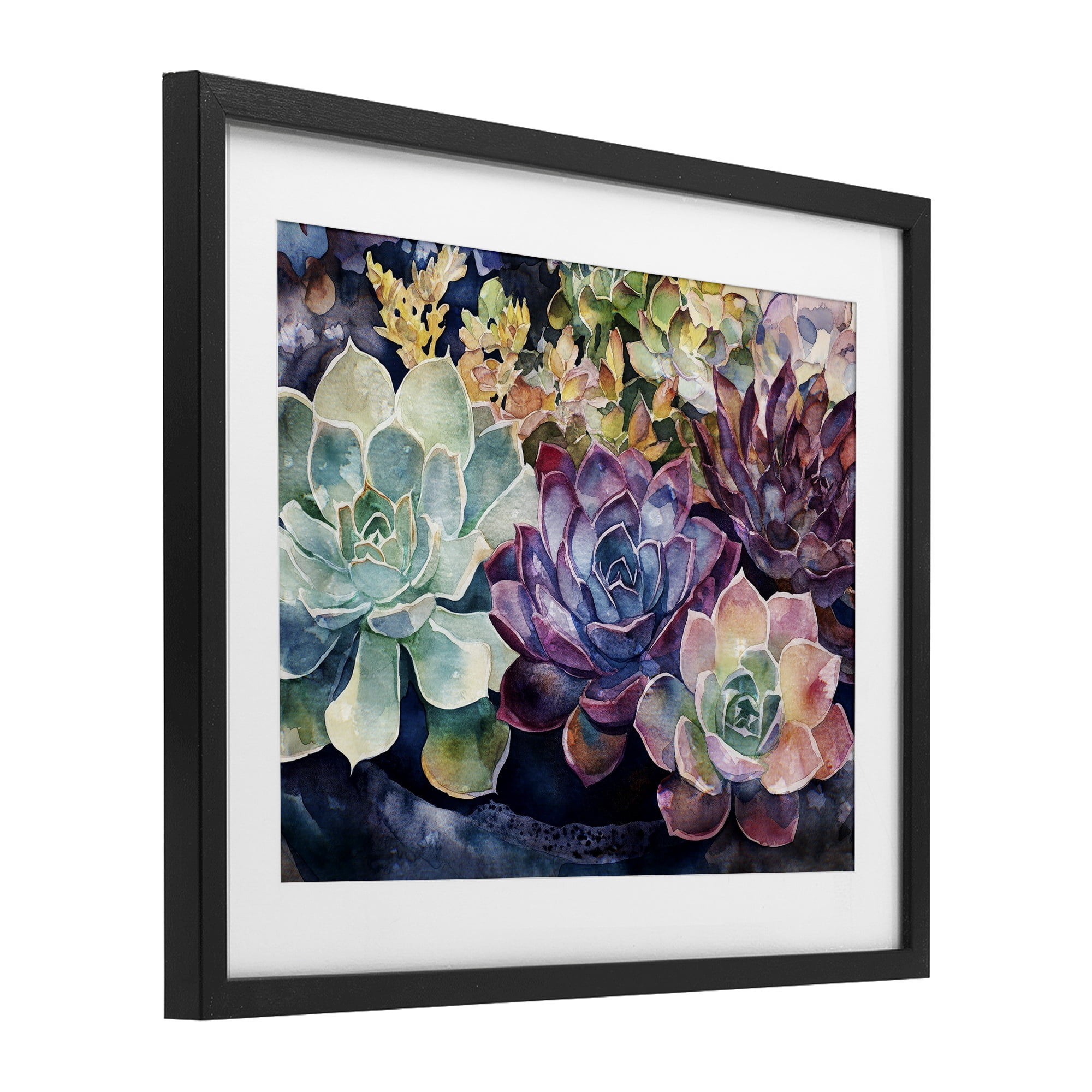Stupell Industries Tutti Succulents Collection Black Framed Print Under Glass, design by Svetlana Aleynikova