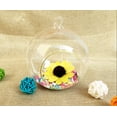 thumbnail image 4 of Glass Terrarium Decorative Glass Hanging Planter Glass Hanging Vase for Home, 4 of 7