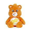 thumbnail image 1 of New 2021 Care Bears 14 Plush - Friend Bear - Soft Huggable Material, 1 of 3