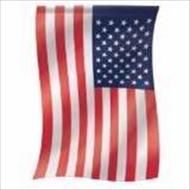 Carson Home Accents 12512X Flag Garden Traditional American Flag 13 x